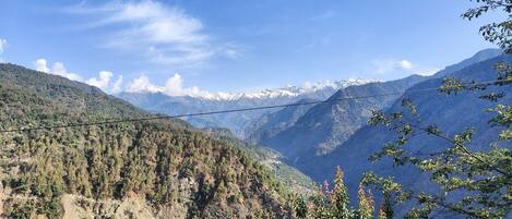 디럭스룸 | 테라스/파티오