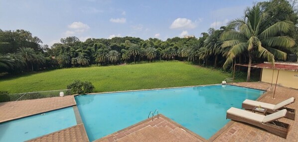 Piscina con sillas de descanso y vista a un área verde con palmeras.