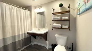 Regadera, secadora de cabello, toallas