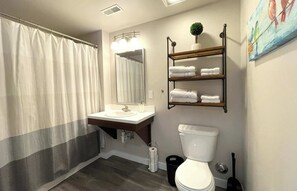 Douche, séchoir à cheveux, serviettes fournies