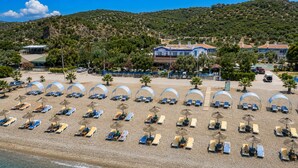 A beach with rows of sun loungers and umbrellas, a clear view of the sea, and buildings in the background. - Blue Park Assos (Ayvacik)