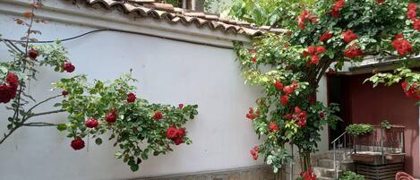 House, 2 Bedrooms, Smoking, Patio | Garden