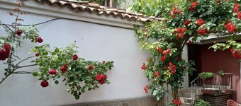 Awesome Location! Probably the Best in the Old Town