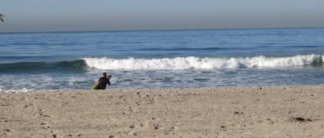 Playa en los alrededores