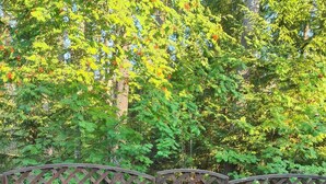 House, 1 Bedroom, Balcony | Garden - Cozy Forest Retreat in Kuopio - Perfect for Families & Work Trips (Kuopio)