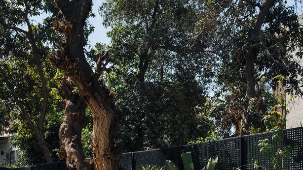 An outdoor seating area with a pool, surrounded by greenery and a large tree. - Private fully serviced villa in Maadi, with a private pool, kitchen and garden. (Cairo Governorate)