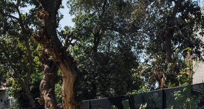 Private fully serviced villa in Maadi, with a private pool, kitchen and garden.