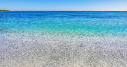 Nicolaus Club Li Cucutti