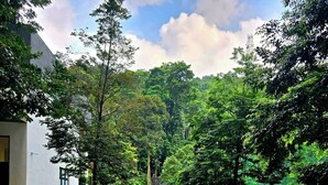 A serene garden with a central water feature, surrounded by lush greenery and a modern building. - Damansara Seresta (Batu Caves)