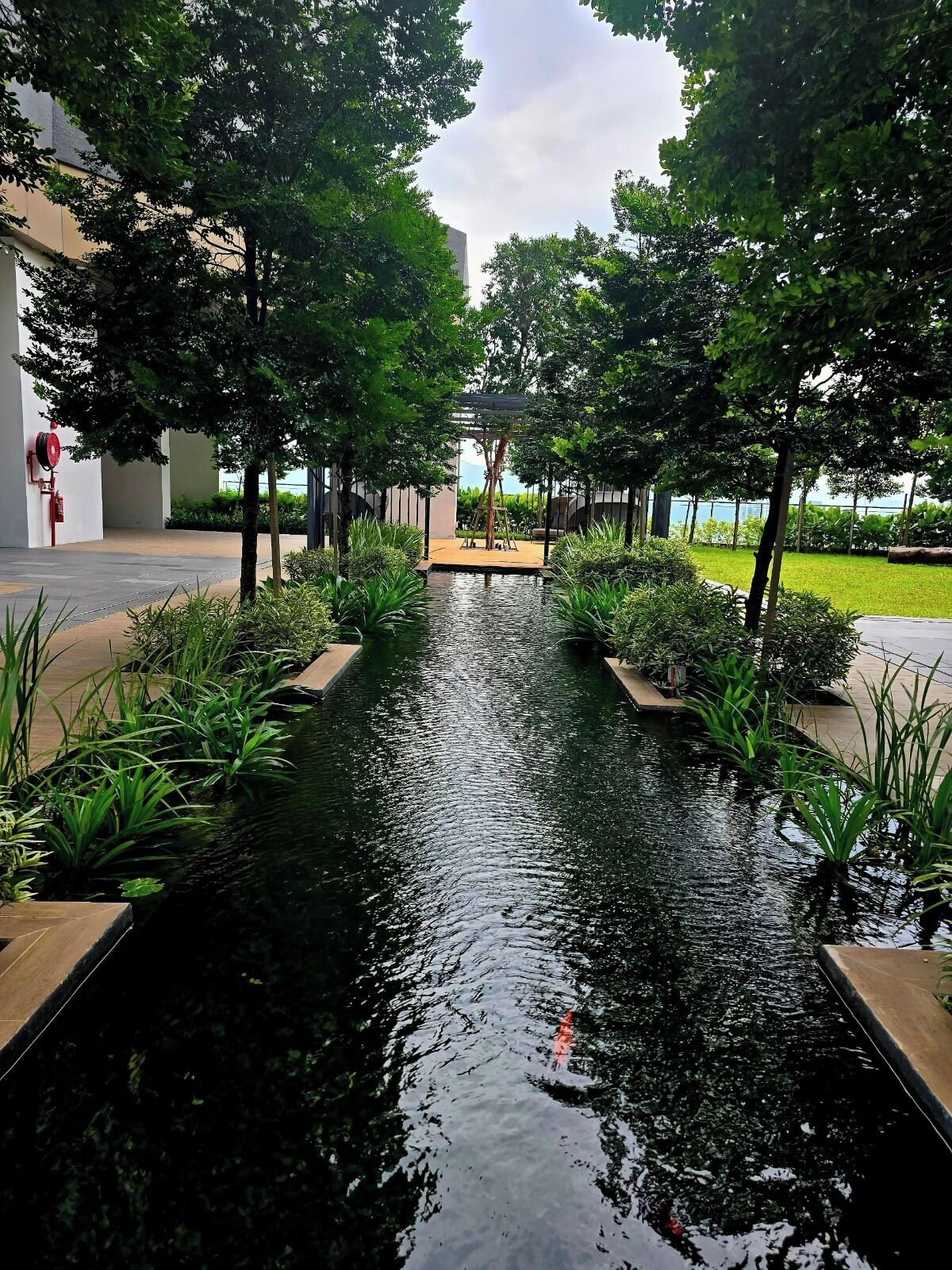 Een rustgevend waterpartij omringd door weelderige begroeiing en moderne architectuur, met een helder uitzicht op het omliggende landschap.