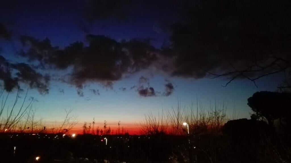 Solnedgang over en klar himmel med silhuetter af træer.