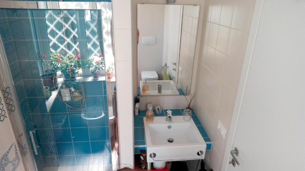 Un baño con lavamanos, espejo e inodoro. Hay una zona de ducha con puerta de cristal y una planta en maceta.