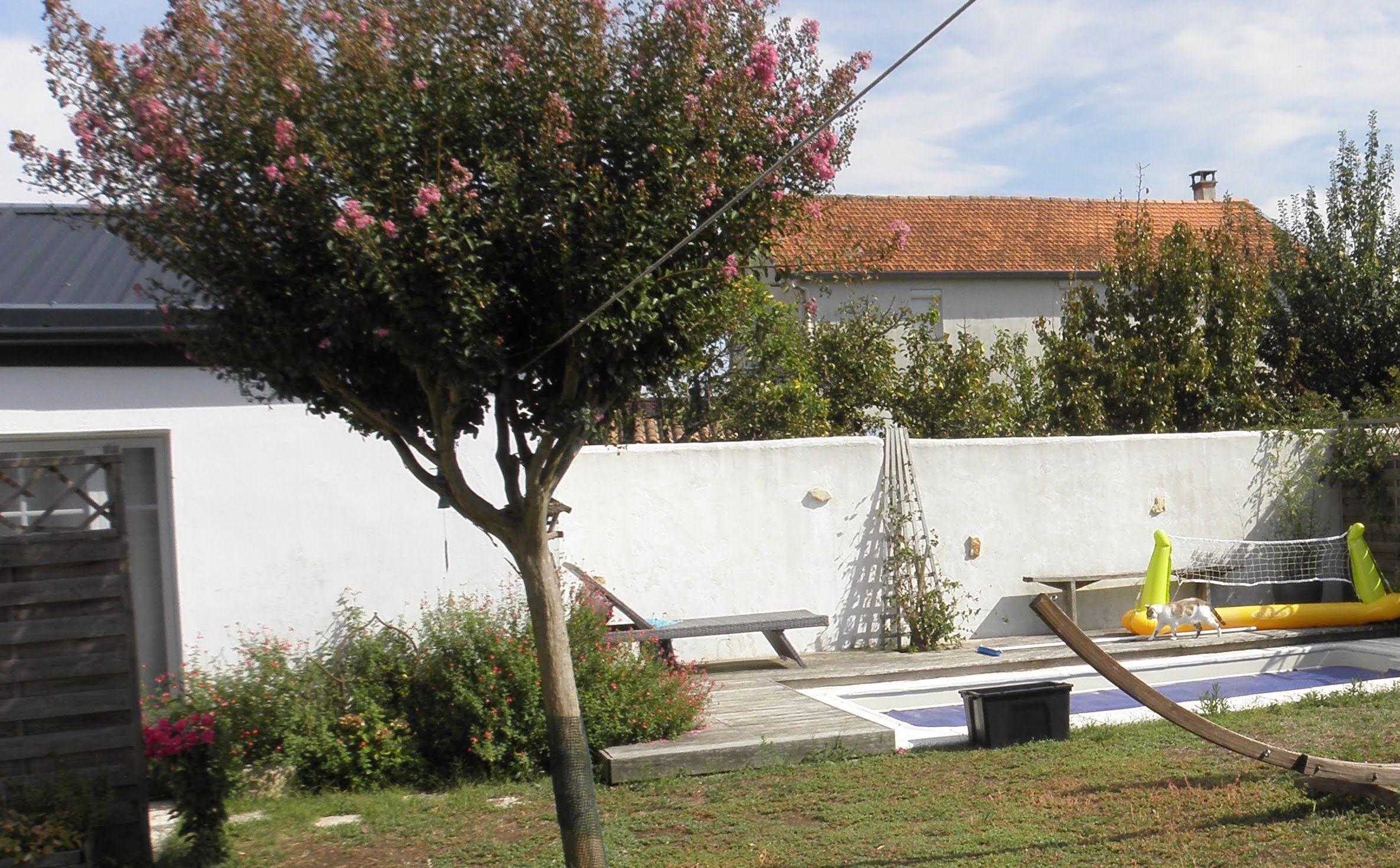 A residential area with a white building, a tree with pink flowers, a ladder, and a yellow object.