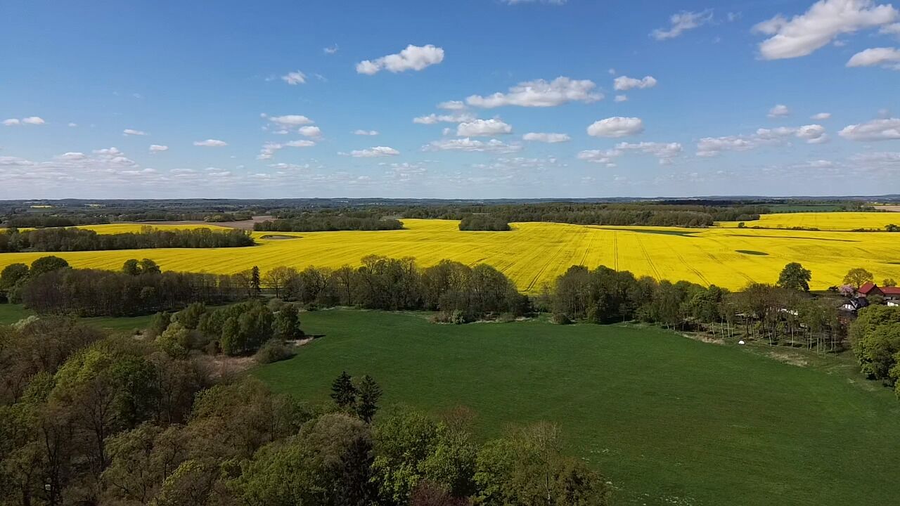 Ländliche Landschaft mit Feldern voller goldener Ernte und grünen Wiesen, umgeben von Bäumen und blauem Himmel.