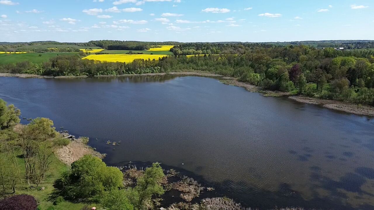 A river with a bend, surrounded by green areas and yellow fields.
