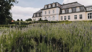 Een groot, klassiek gebouw met symmetrische architectuur, omgeven door een verzorgde tuin met hoge grassen en lavendel.