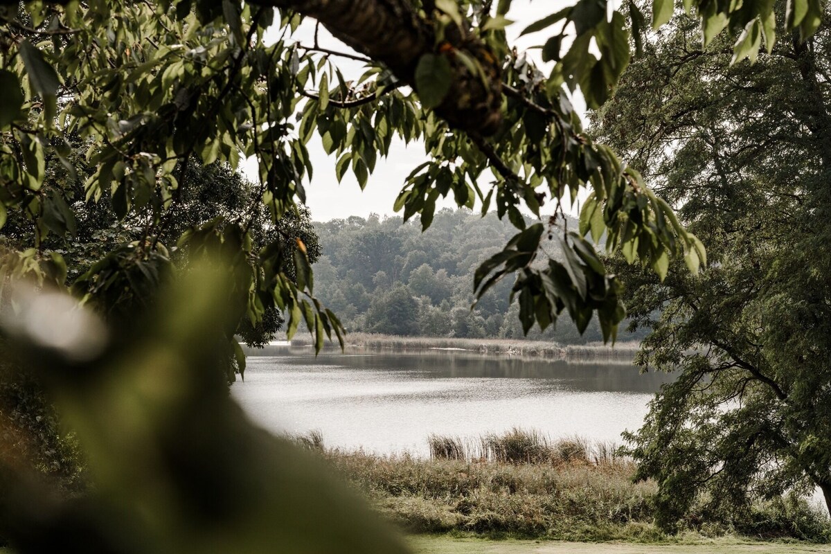 Una tranquilla vista sul lago, incorniciata da una fitta vegetazione.