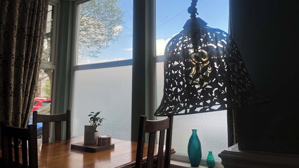 Une pièce comprenant une table à manger, des chaises, une plante en pot et une fenêtre donnant sur des arbres et une voiture à l’extérieur.