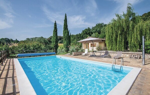 Relax by the serene pool surrounded by lush greenery and tall trees.