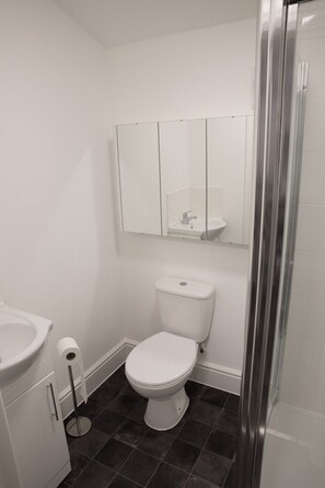 A bathroom with a toilet, a sink, a mirror, and a shower. - Beautiful, annex, 10min from Cambridge centre (Great Shelford)