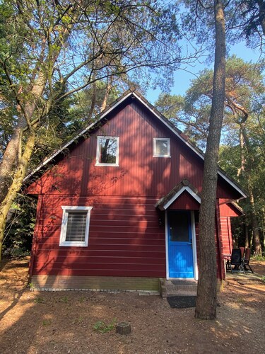 Attractive and comfortable house near the dunes