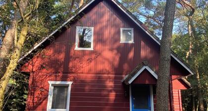 Attractive and comfortable house near the dunes
