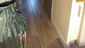 A narrow hallway with a wooden floor, a glass vase, and a wardrobe with patterned doors. - Charming t2 with loggia, beautiful sea view + parking lot (Saint Pierre La Mer)