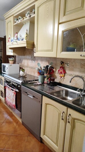 Apartment | Private kitchen | Fridge, microwave, oven, stovetop