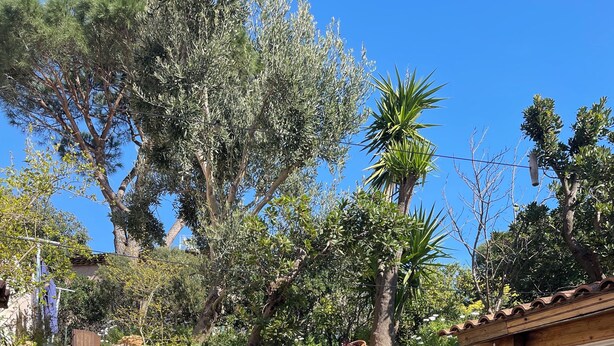 An outdoor patio with a stone floor, a glass table, and a barbecue grill. - Detached house in quiet neighborhood, hillside views, 10-minute walk to beach. (Cavalaire-sur-Mer)
