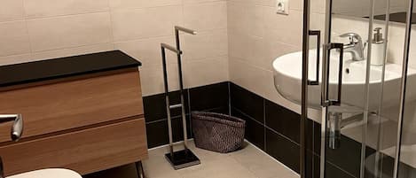 Regadera, secadora de cabello, bidet, toallas
