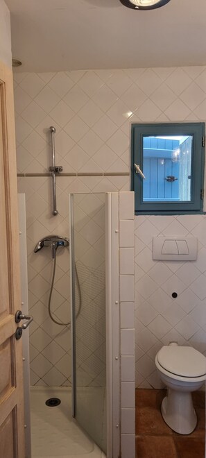 Shower, towels, toilet paper