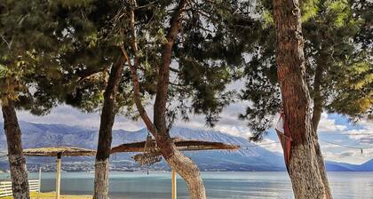 Casa Bonita apt With the Best View in Town!