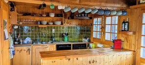 Stovetop, dishwasher