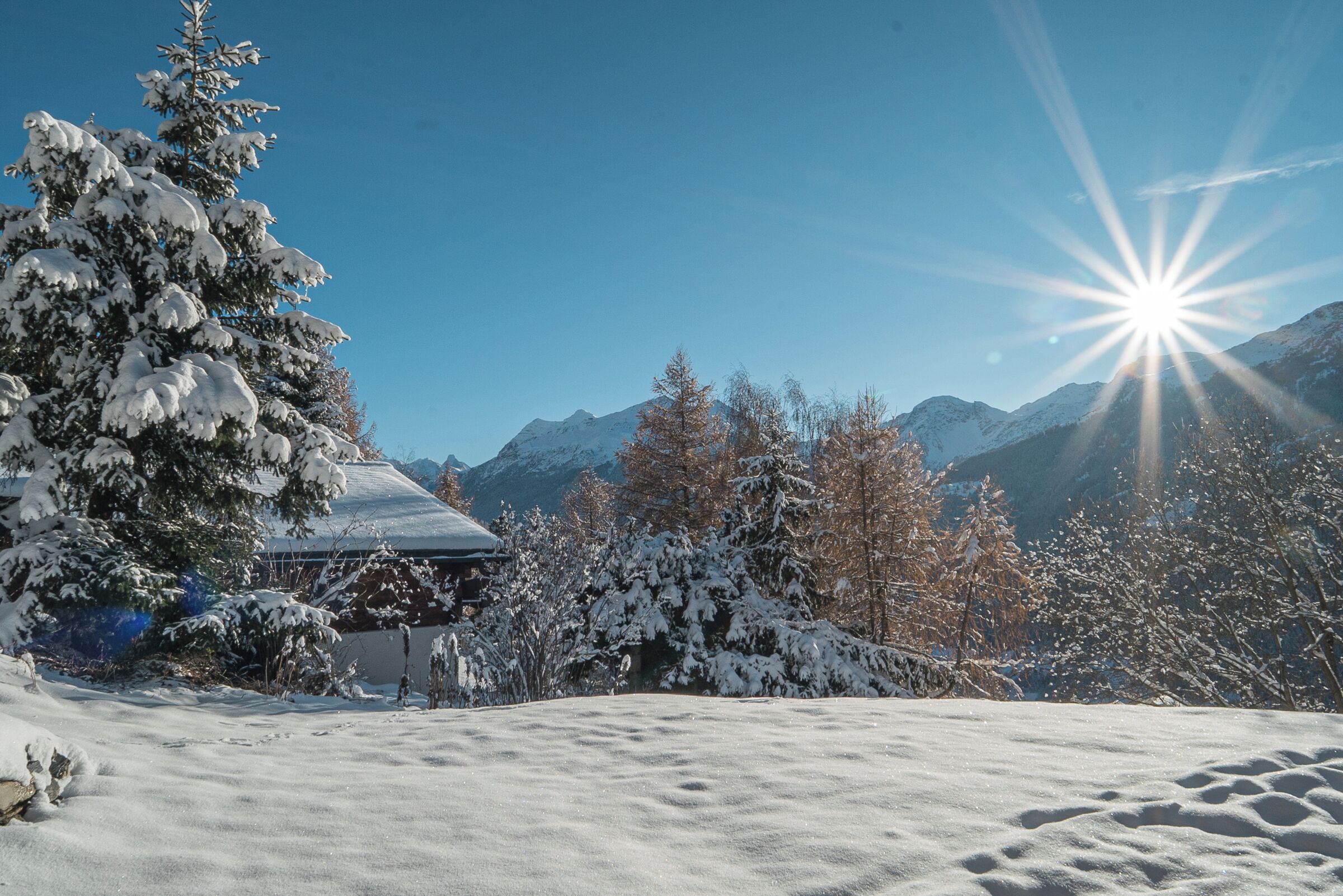 A snow-covered landscape with a building, trees, and mountains in the background.