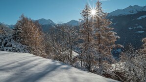 Un paisaje montañoso nevado con cielo despejado y el sol brillando entre los árboles.