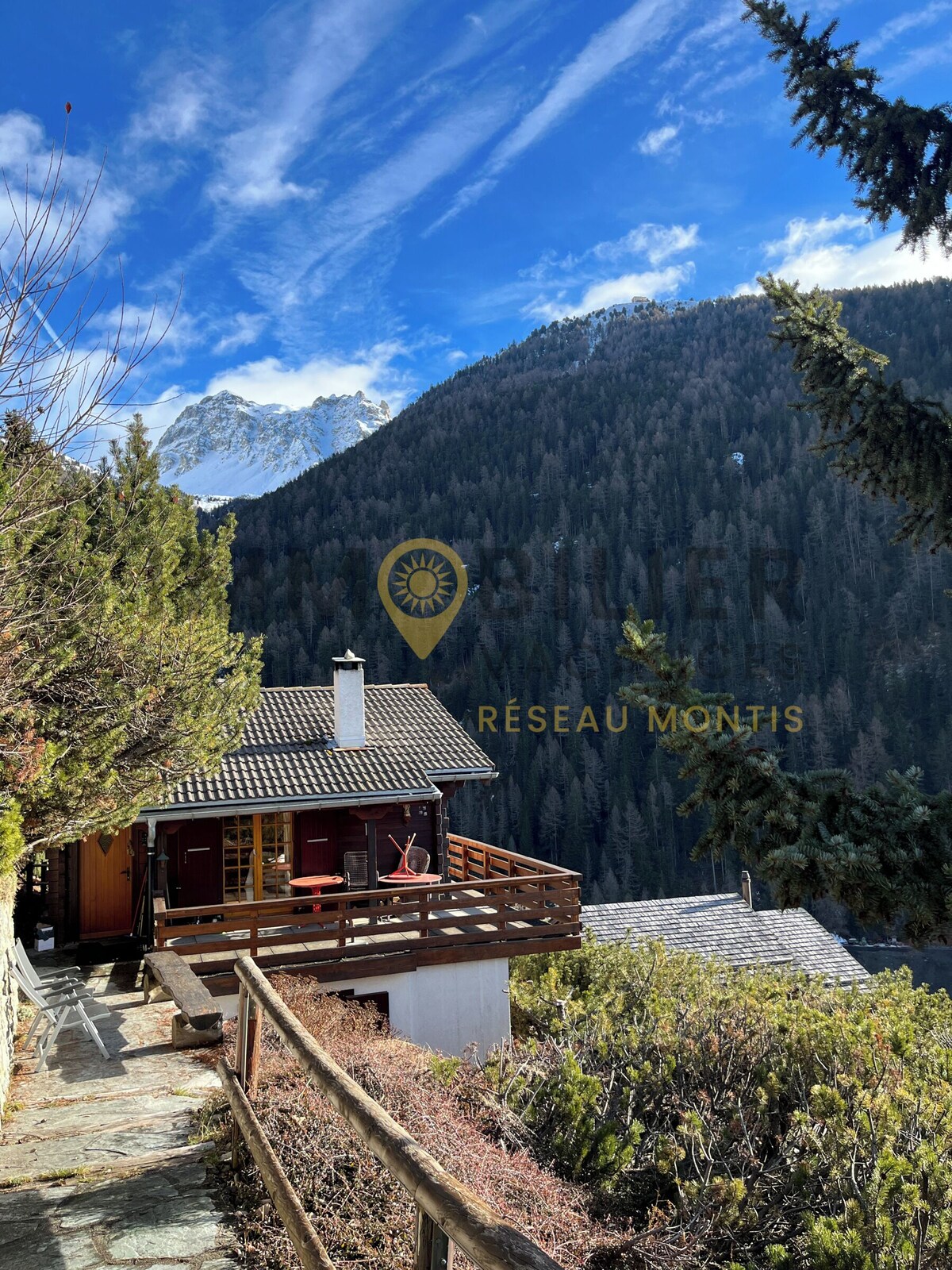 Værtens profilbillede