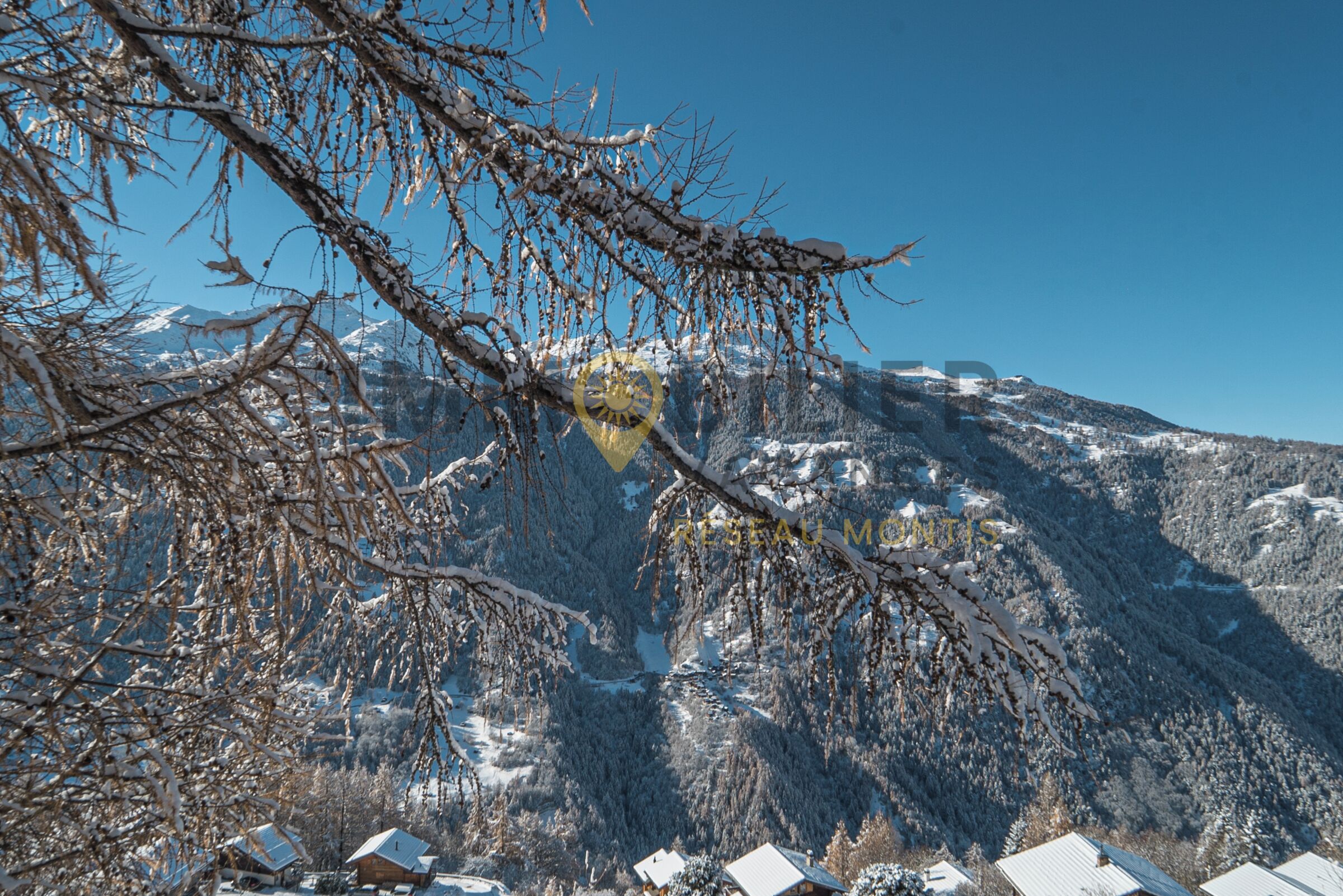 A mountain landscape with snow-covered trees and houses.