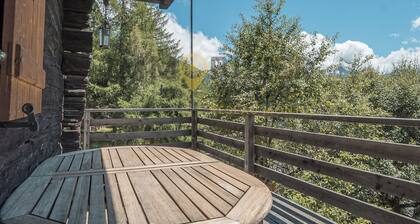 Très beau chalet typique et confortable sur 2 niveaux avec jardin, terrasse meublé. Vue absolument s