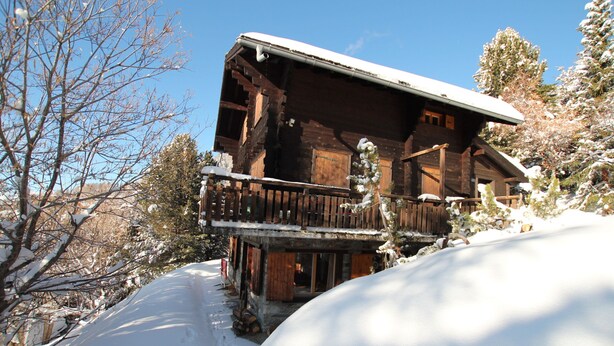 A wooden cabin with a balcony, surrounded by snow-covered trees. - Charmant 2 pièces pour 2 à 4 personnes au rez d'un chalet. Situé à 300 mètres de l'arrêt du bus nave (Chandolin)