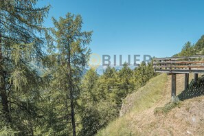 Divers