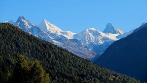 Paesaggio montano con cime innevate e fitta foresta.