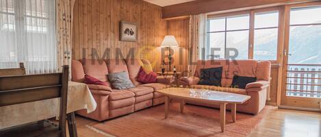 電視、DVD 播放機