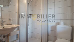A bathroom with a sink, mirror, shower, and toilet. - In the heart of the old village of Chandolin, a charming, authentic apartment, entirely panelled in (Chandolin)