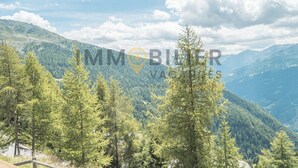 A mountainous landscape with dense forest and a clear sky. - Charmant appartement de 3 pièces au 1er étage de l'immeuble "Les Roches" à proximité du centre du vi (Chandolin)