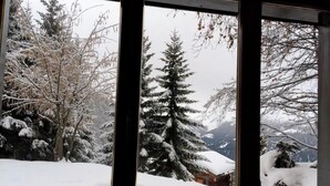 A view through a window with snow-covered trees and mountains in the background.