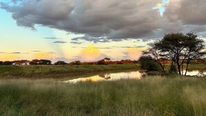 Un paisaje con un cuerpo de agua, zonas cubiertas de hierba y árboles bajo un cielo nublado.