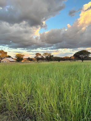 Miscellaneous - Northern Rock is a beautiful campground close to Otjiwarongo for a peaceful stay (Otjiwarongo)