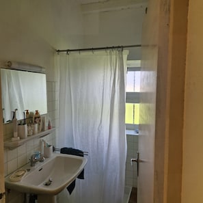 Regadera, secadora de cabello, toallas, papel de baño