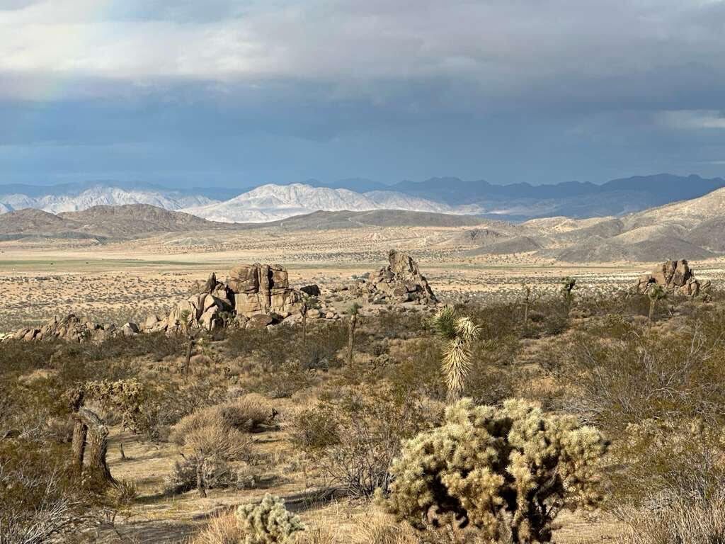 Eine Wüstenlandschaft mit Felsformationen und vereinzelter Vegetation.