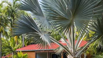 A house with a red roof, surrounded by a well-maintained lawn and palm trees.